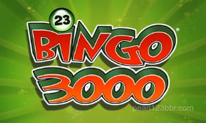123b Bingo 3000